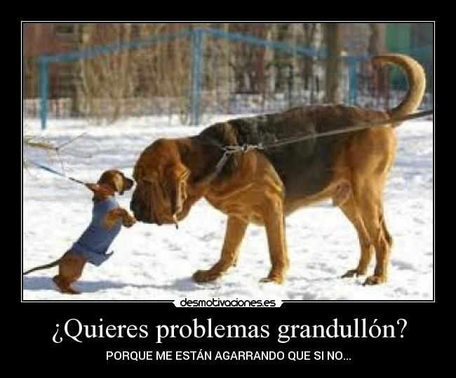 ¿Quieres problemas grandullón? - 