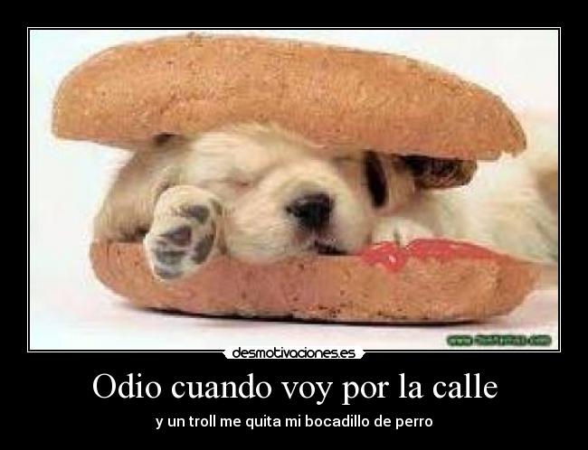 Odio cuando voy por la calle - 