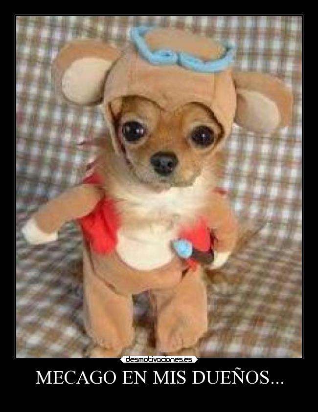 carteles wwwdesmotivacioneses desmotivaciones