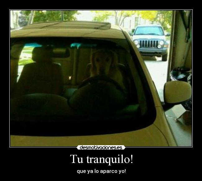 carteles alex desmotivaciones