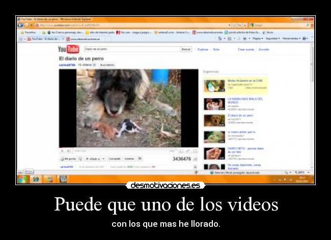 Puede que uno de los videos - con los que mas he llorado.