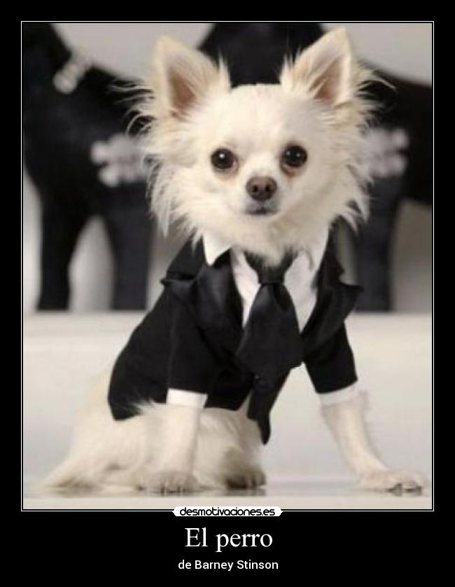 El perro - 