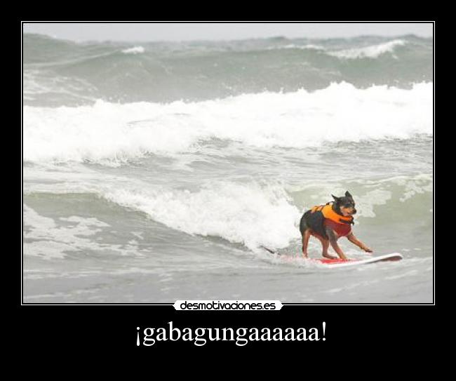 ¡gabagungaaaaaa! -