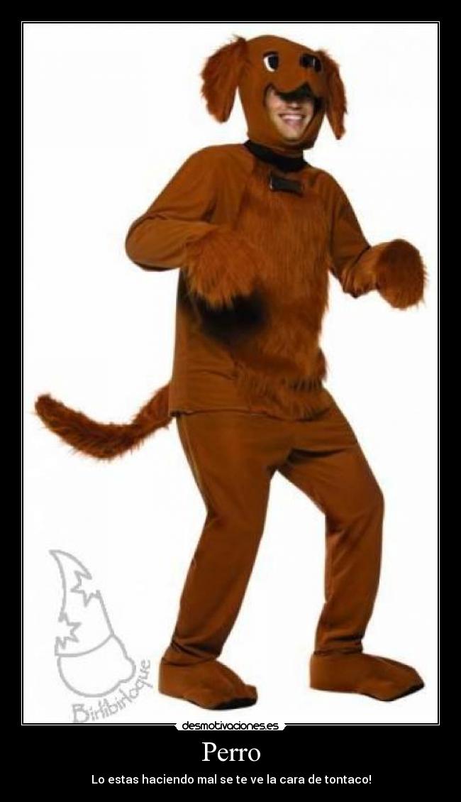 Perro - Lo estas haciendo mal se te ve la cara de tontaco!