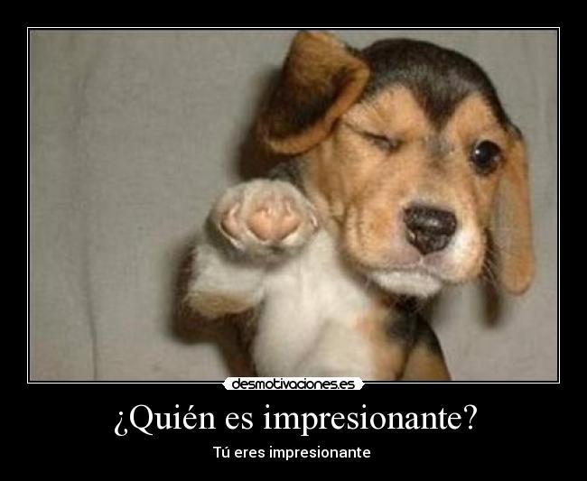 ¿Quién es impresionante? - Tú eres impresionante 
