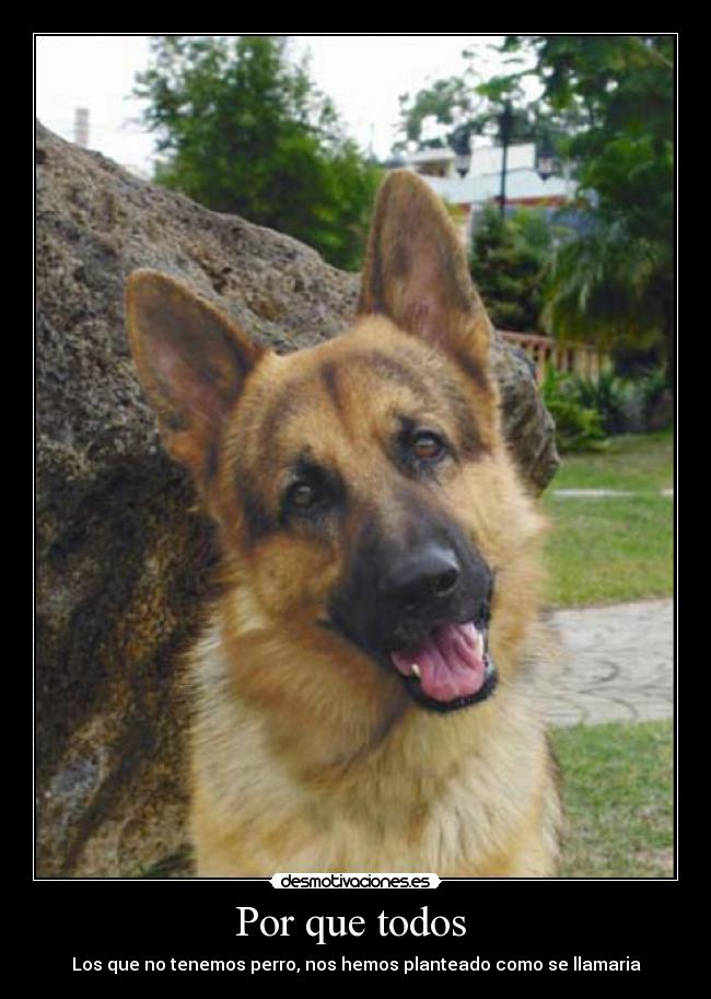 Por que todos - Los que no tenemos perro, nos hemos planteado como se llamaria