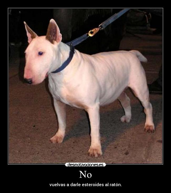 No - vuelvas a darle esteroides al ratón.