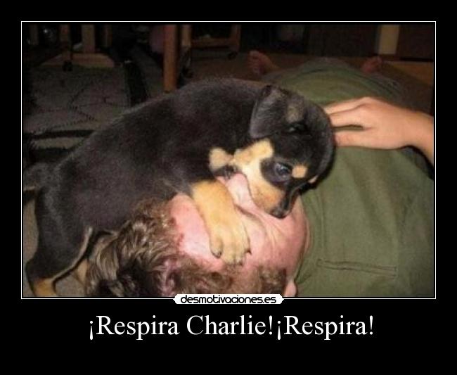 ¡Respira Charlie!¡Respira! -