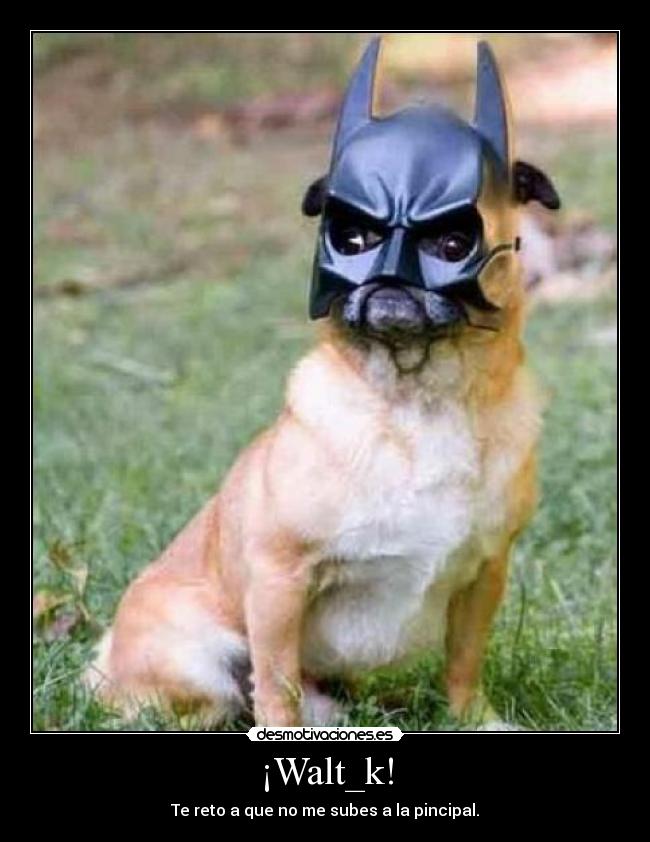 ¡Walt_k! -