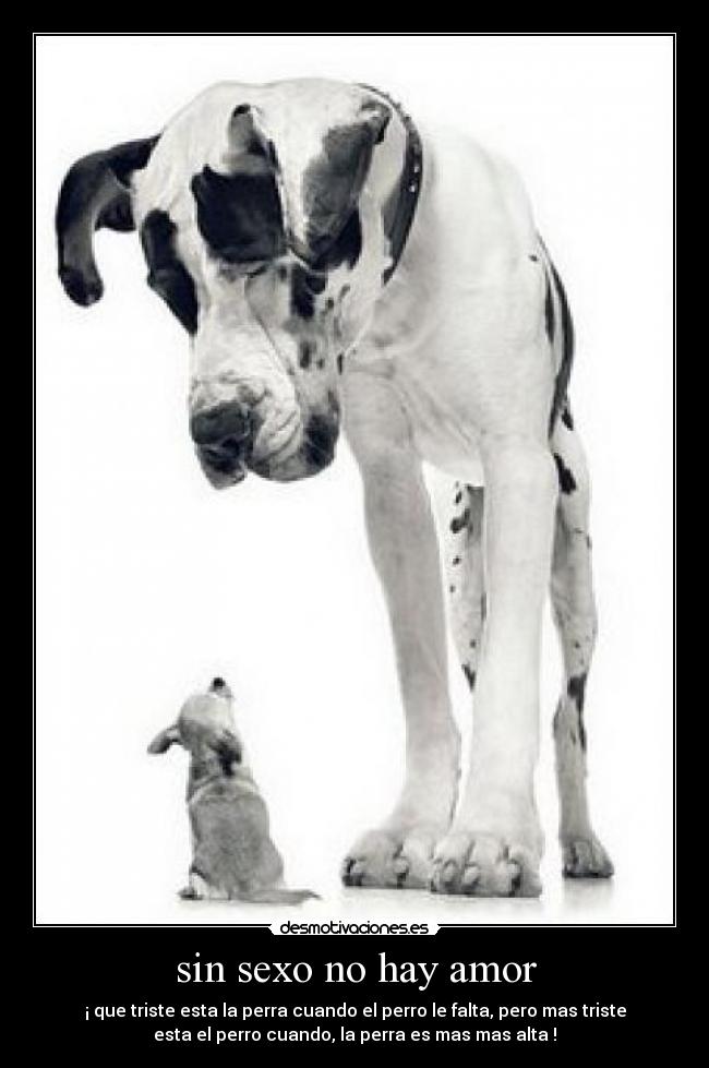 sin sexo no hay amor -
