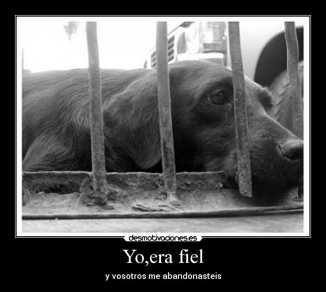 Yo,era fiel - y vosotros me abandonasteis