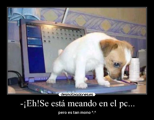 carteles mcmakillguys desmotivaciones