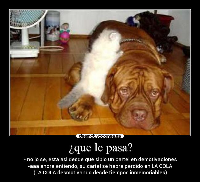 ¿que le pasa? - 