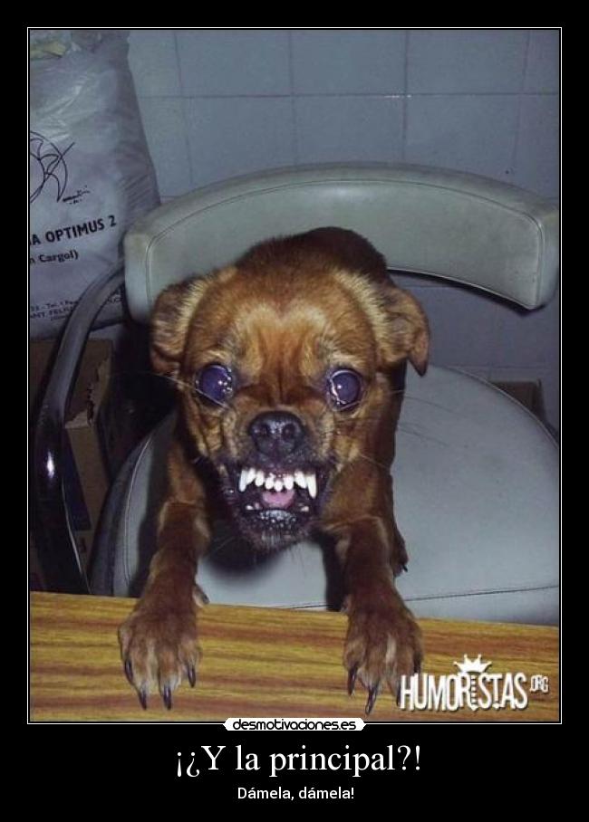 ¡¿Y la principal?! - 
