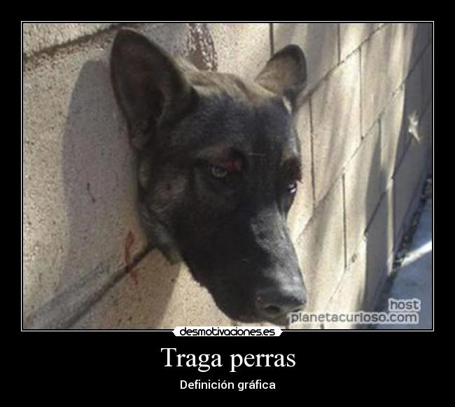 Traga perras - Definición gráfica