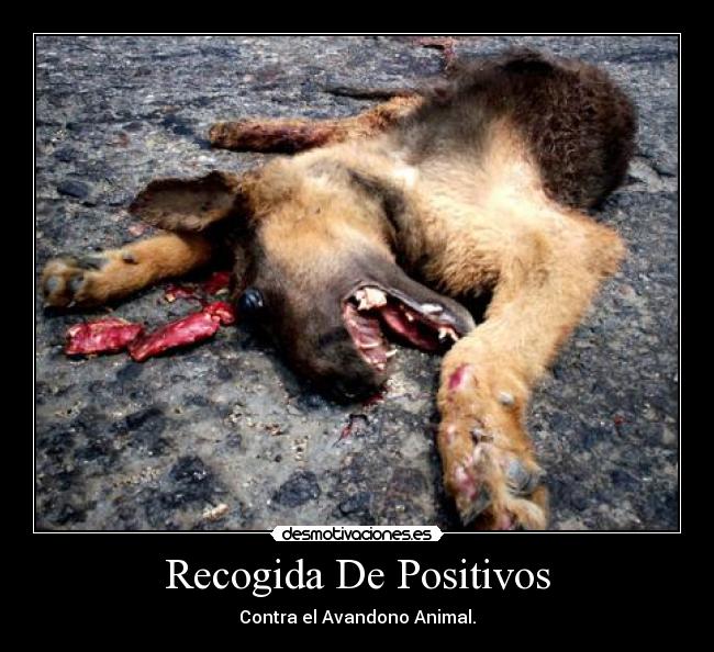 Recogida De Positivos -
