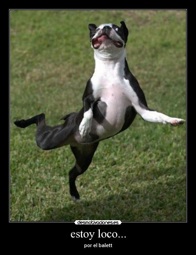 estoy loco... - por el balett