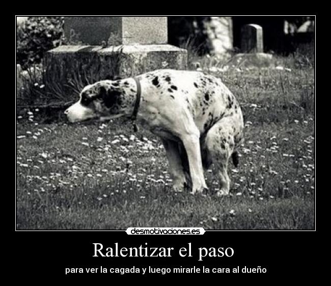 Ralentizar el paso - para ver la cagada y luego mirarle la cara al dueño