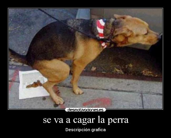 se va a cagar la perra - Descripción grafica