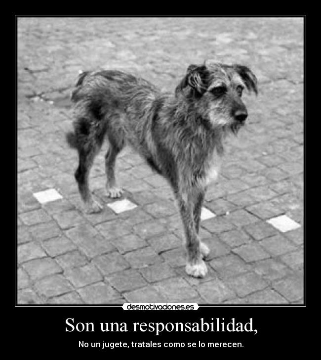 Son una responsabilidad, - 