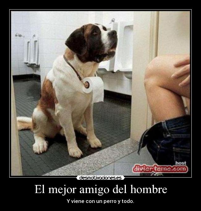 El mejor amigo del hombre -