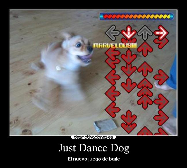 Just Dance Dog - El nuevo juego de baile