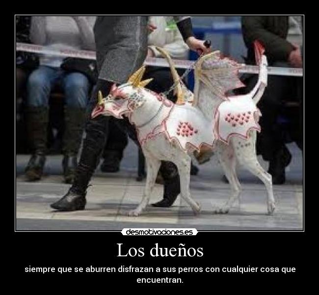Los dueños - 