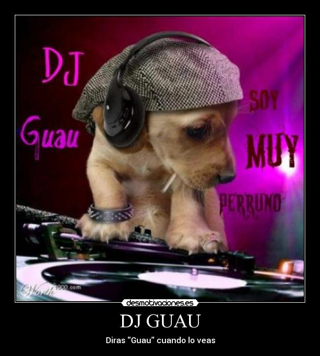 DJ GUAU - 