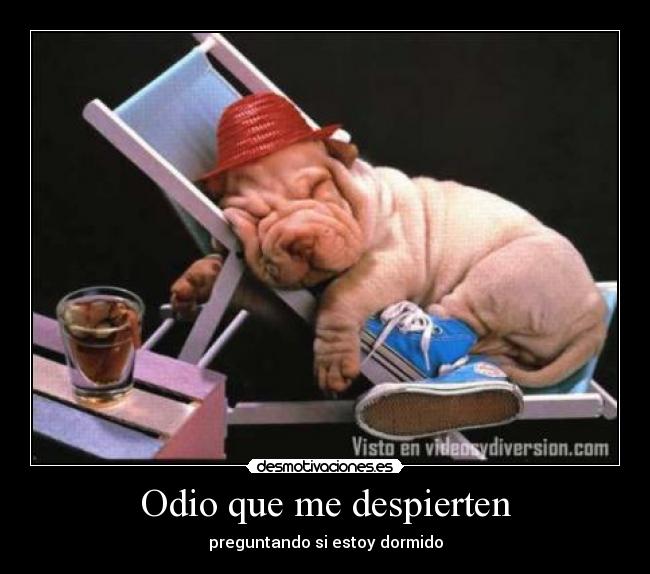 Odio que me despierten - 
