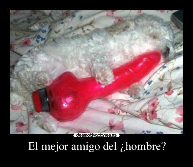 El mejor amigo del ¿hombre? -