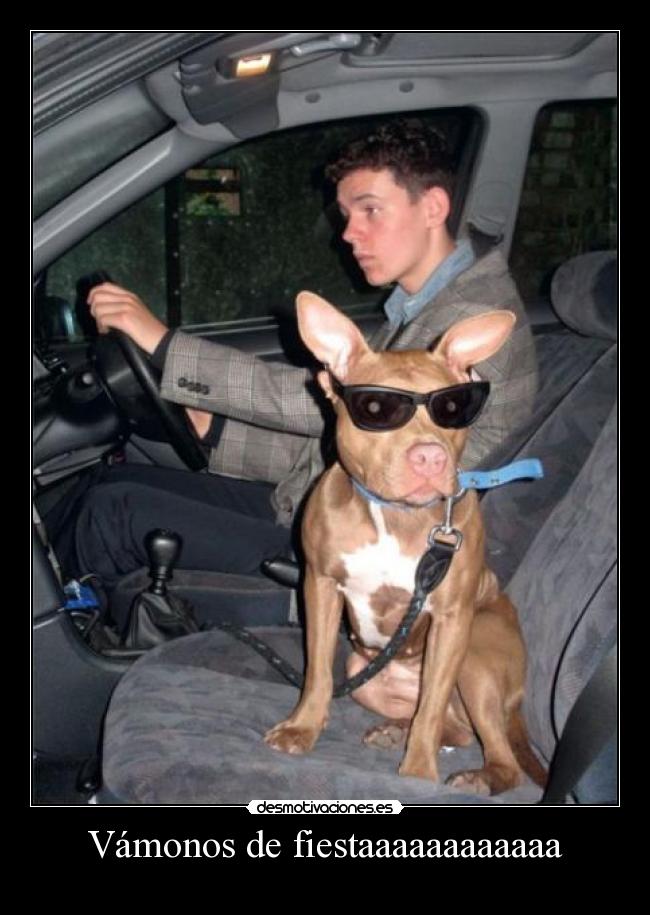 Vámonos de fiestaaaaaaaaaaaa -