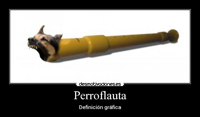 Perroflauta - Definición gráfica