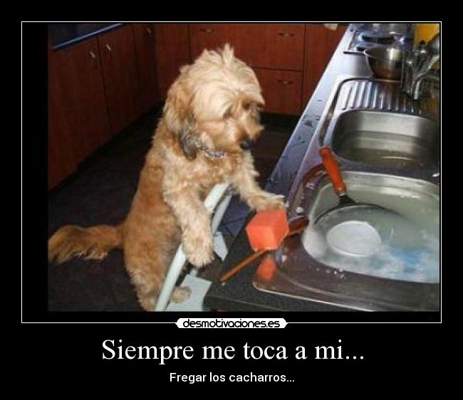 Siempre me toca a mi... -