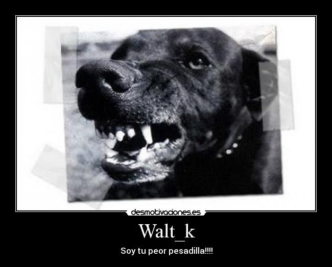 Walt_k -