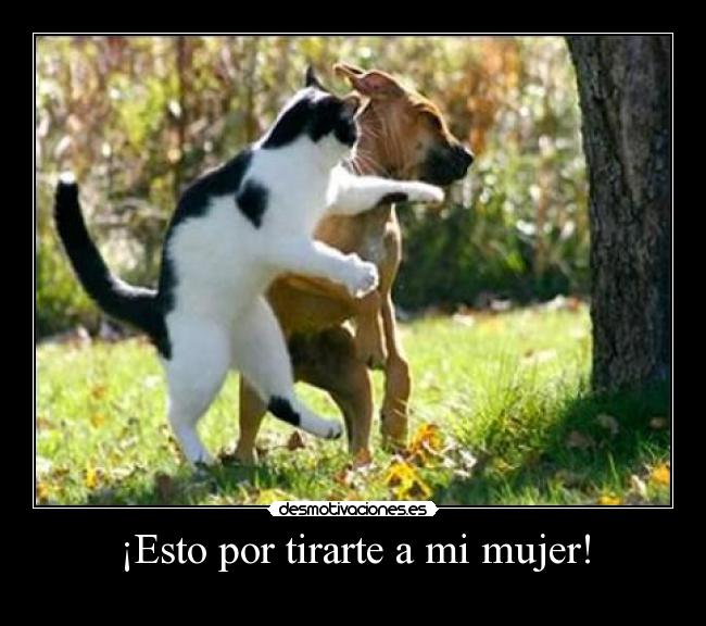 ¡Esto por tirarte a mi mujer! -