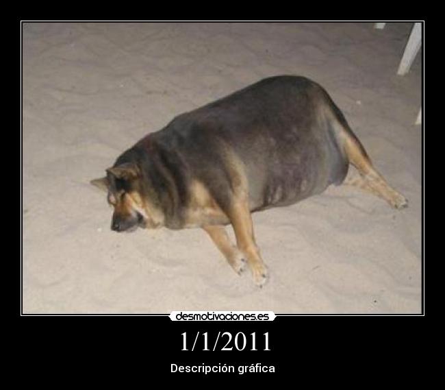 1/1/2011 - Descripción gráfica