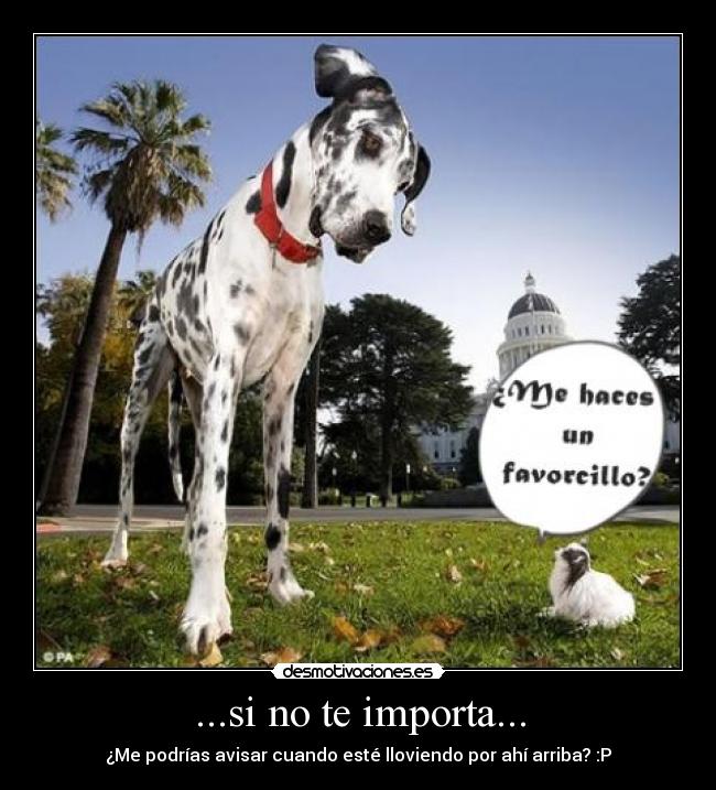 ...si no te importa... - ¿Me podrías avisar cuando esté lloviendo por ahí arriba? :P