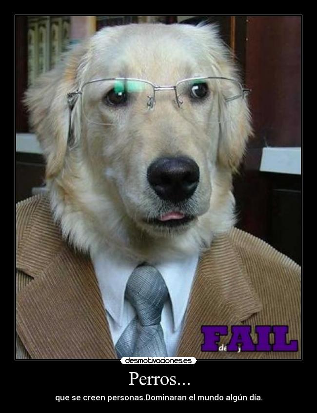 Perros... - 