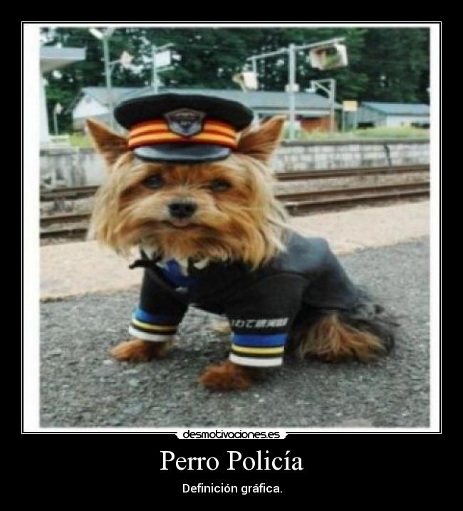 Perro Policía -