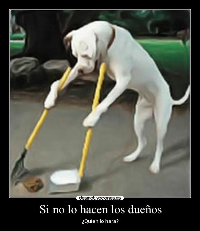 Si no lo hacen los dueños - 