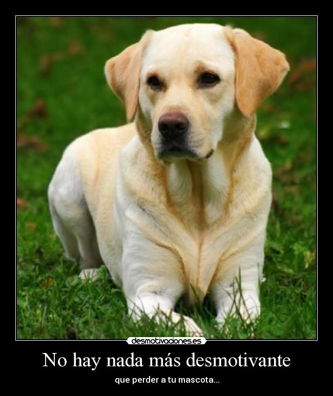 No hay nada más desmotivante -
