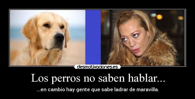 Los perros no saben hablar... - 
