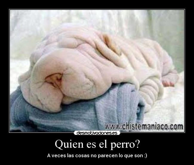 carteles alberto_molina desmotivaciones