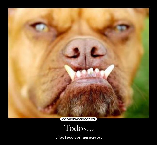 Todos... - 