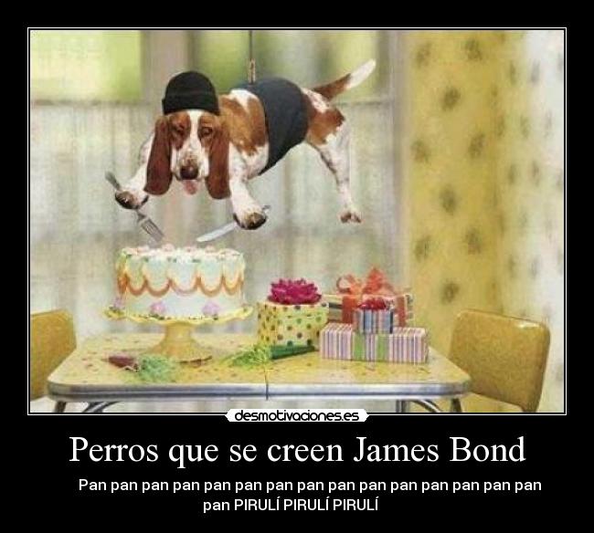 carteles los perros que creen james bond 007 animales gatos tarta comida mesa tio tonterias anna chuck sex desmotivaciones