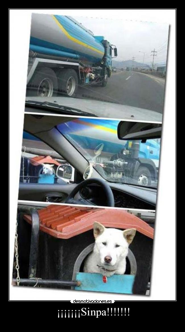 ¡¡¡¡¡¡¡Sinpa!!!!!!! -