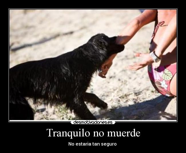 carteles muerde desmotivaciones