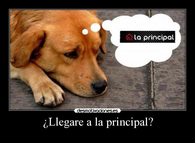 ¿Llegare a la principal? - 