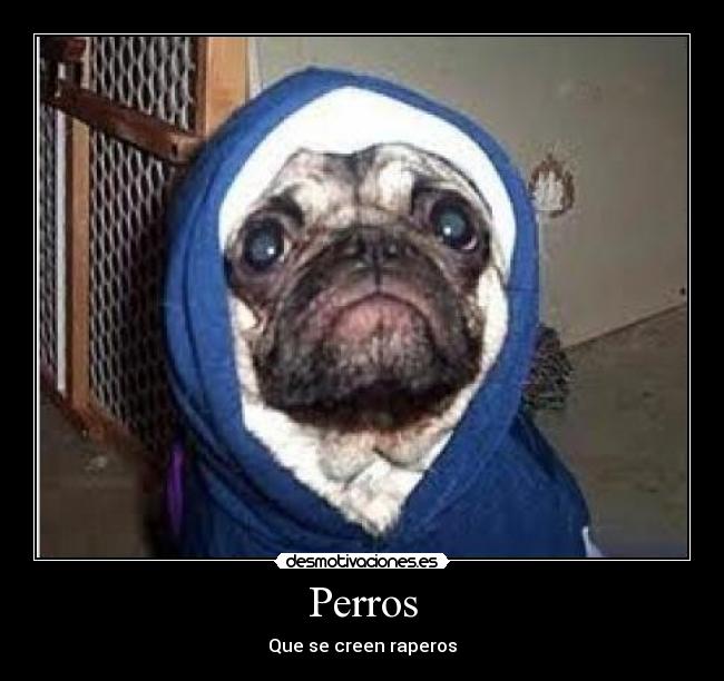 Perros - Que se creen raperos