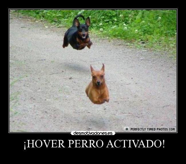 ¡HOVER PERRO ACTIVADO! -